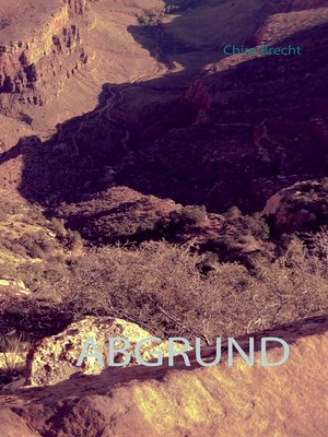 cover image of Abgrund